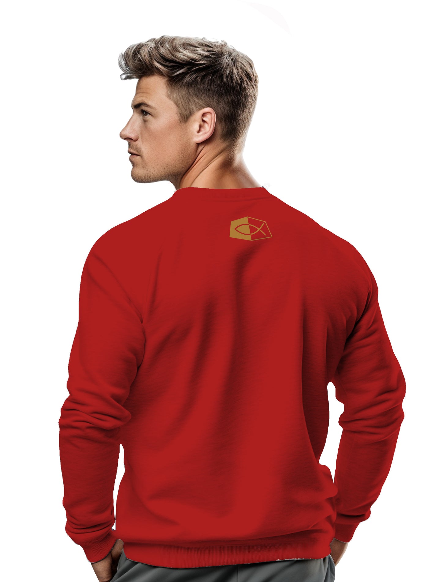 FEAR NO EVIL Psalm 23:4- Men's premium sweatshirt