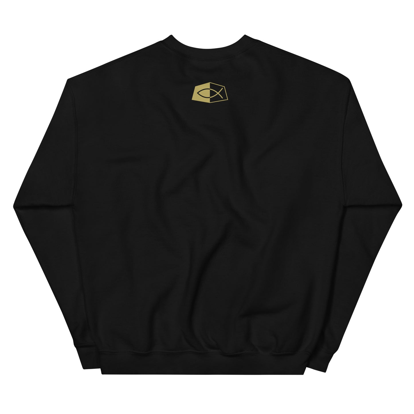 JESUS/ KING OF KINGS 2 CORINTHIANS 2:9- Men's premium sweatshirt