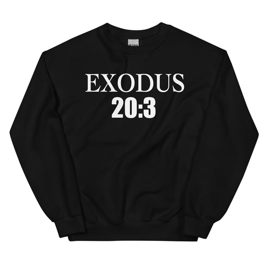 EXODUS   20:3- Men's premium sweatshirt