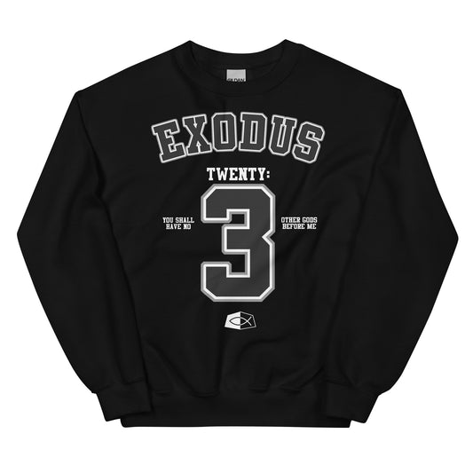 Exodus 20:3 - Men's premium sweatshirt