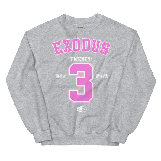 Exodus 20:3 - Women’s premium Unisex sweatshirt